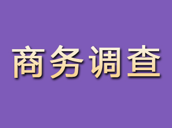 安泽商务调查